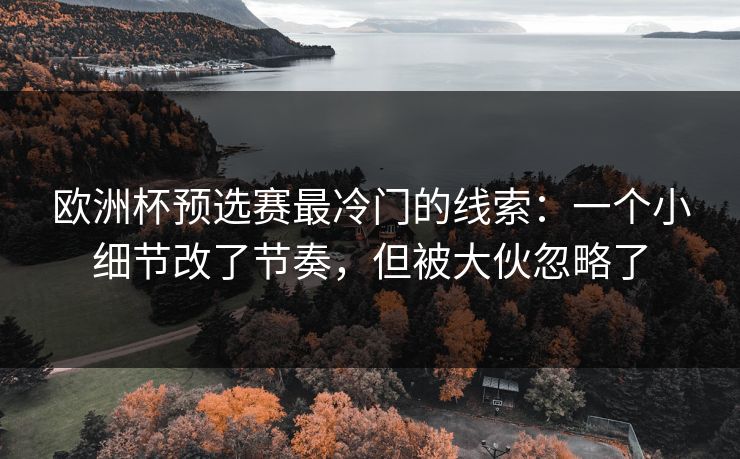 欧洲杯预选赛最冷门的线索：一个小细节改了节奏，但被大伙忽略了