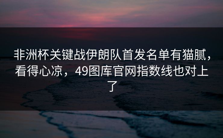 非洲杯关键战伊朗队首发名单有猫腻，看得心凉，49图库官网指数线也对上了