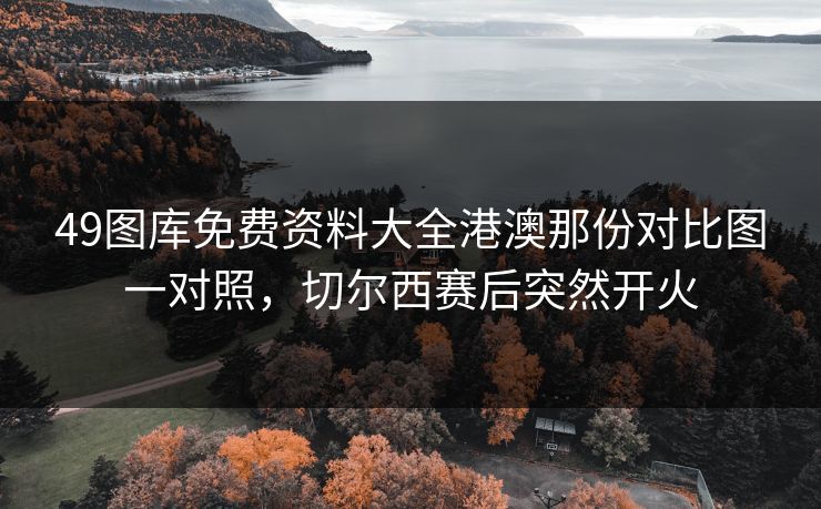 49图库免费资料大全港澳那份对比图一对照，切尔西赛后突然开火