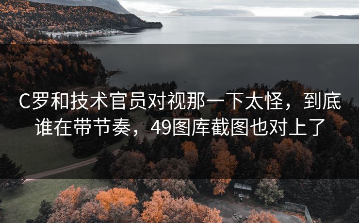 C罗和技术官员对视那一下太怪，到底谁在带节奏，49图库截图也对上了