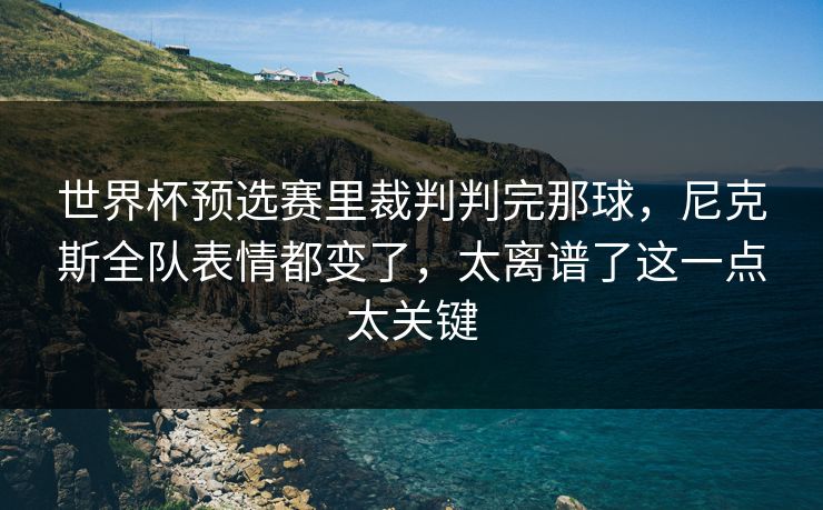 世界杯预选赛里裁判判完那球，尼克斯全队表情都变了，太离谱了这一点太关键