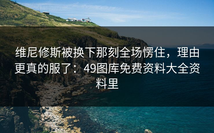 维尼修斯被换下那刻全场愣住，理由更真的服了：49图库免费资料大全资料里